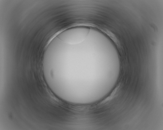 X0000114161369200910081125