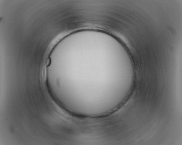 X0000114161371200910081125