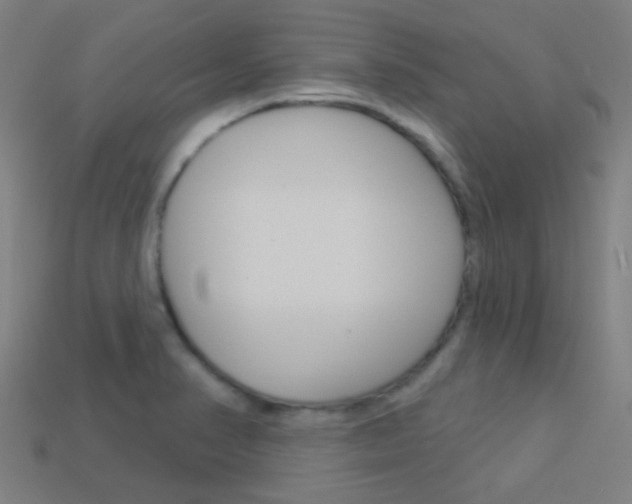 X0000114161374200910081125