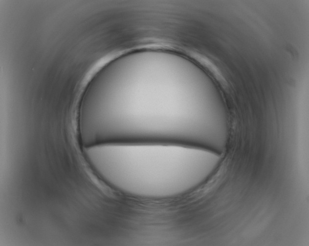 X0000114161375200910081125