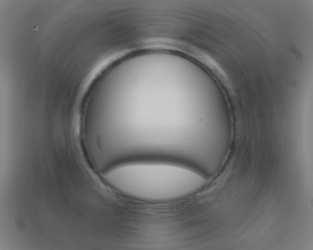 X0000114161376200910081125
