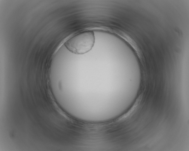 X0000114161377200910081125