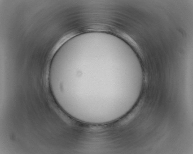 X0000114161378200910081125