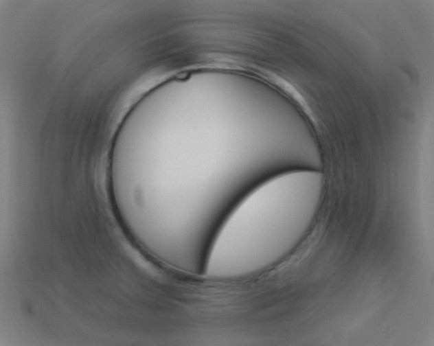 X0000114161379200910081125