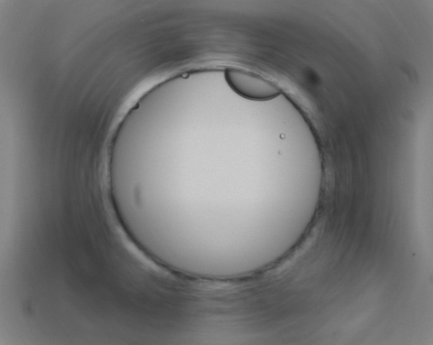 X0000114161382200910081125