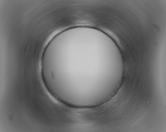 X0000114161383200910081124