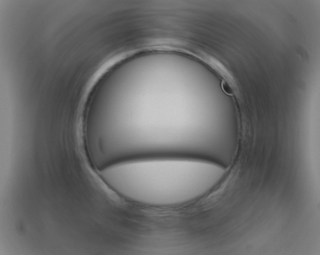 X0000114161384200910081124
