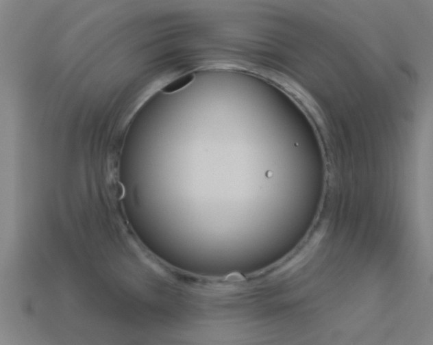 X0000114161385200910081124