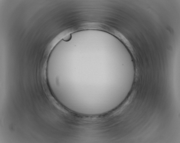 X0000114161386200910081124