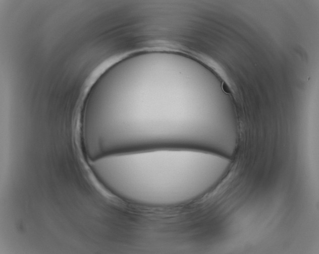 X0000114161387200910081124