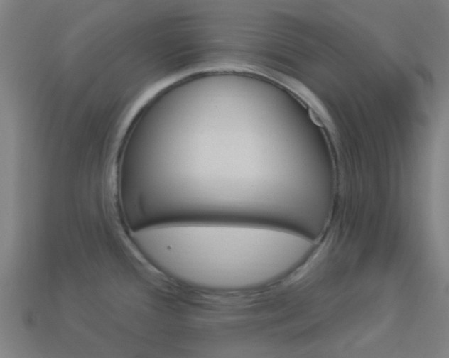 X0000114161388200910081124