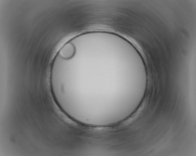 X0000114161390200910081124