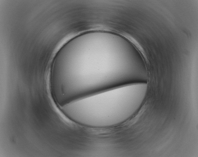 X0000114161391200910081124