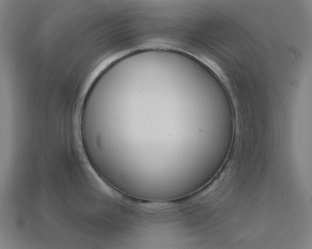 X0000114161392200910081124