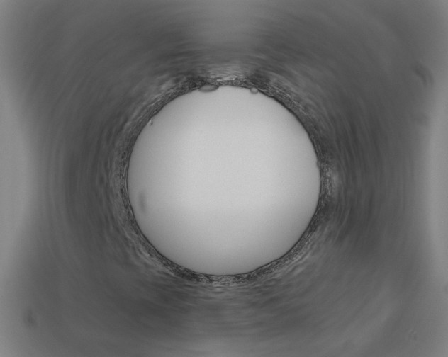 X0000114161393200910081124