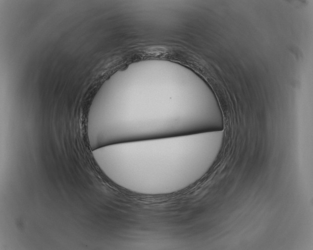 X0000114161394200910081124