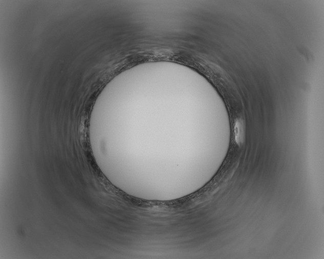 X0000114161395200910081124