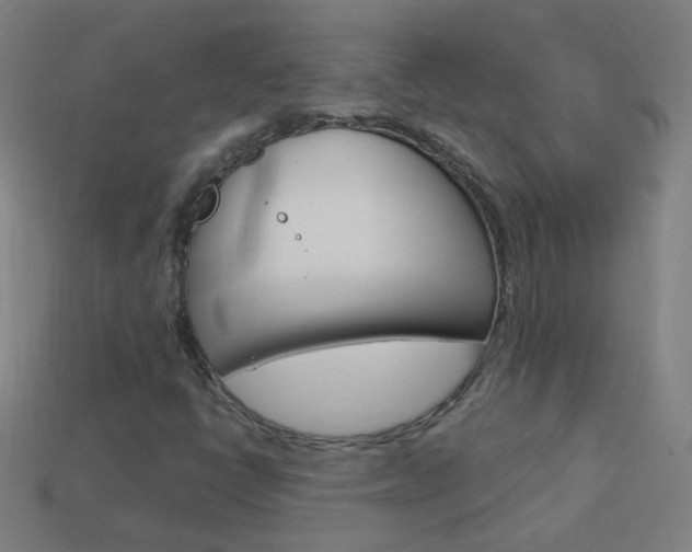 X0000114161398200910081124