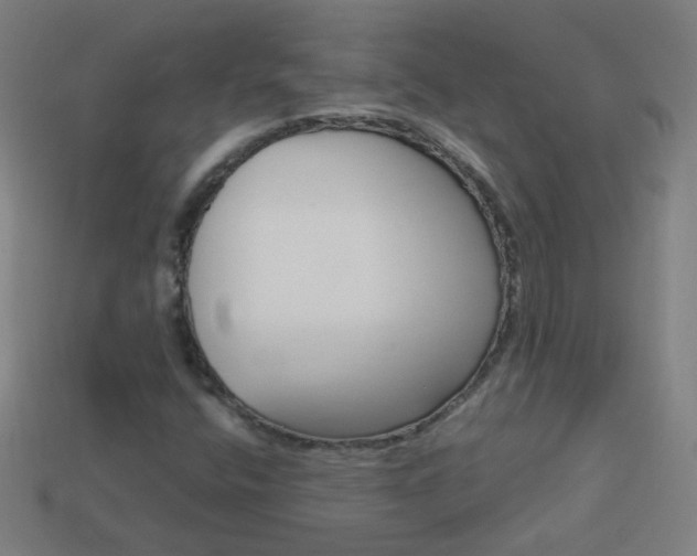 X0000114161400200910081124