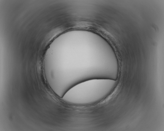 X0000114161401200910081124