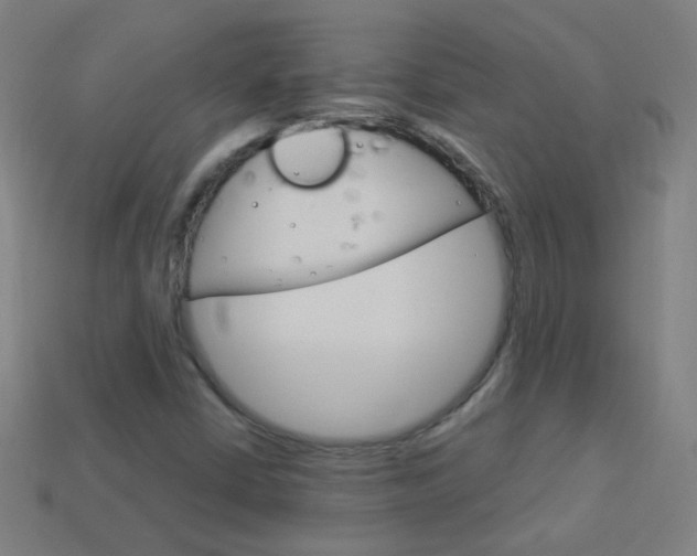 X0000114161402200910081124