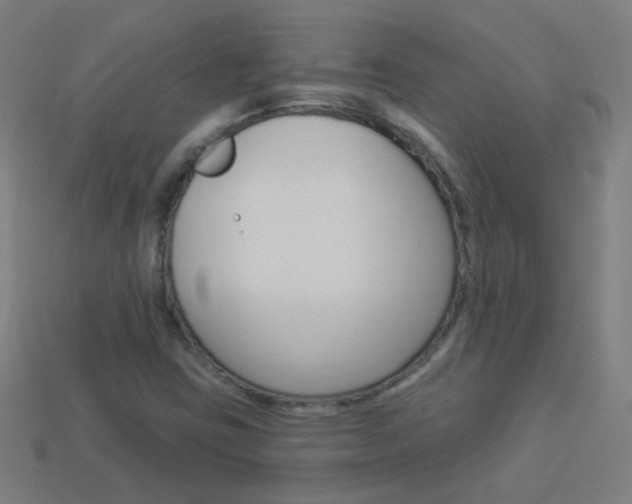X0000114161403200910081124