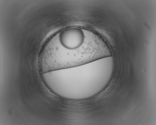 X0000114161404200910081124