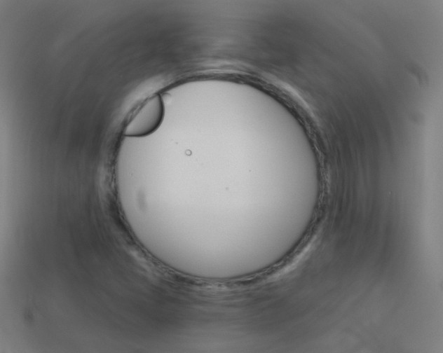 X0000114161405200910081124