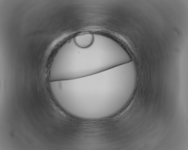 X0000114161406200910081124