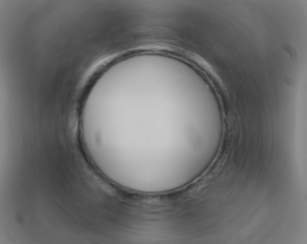 X0000114161408200910081124