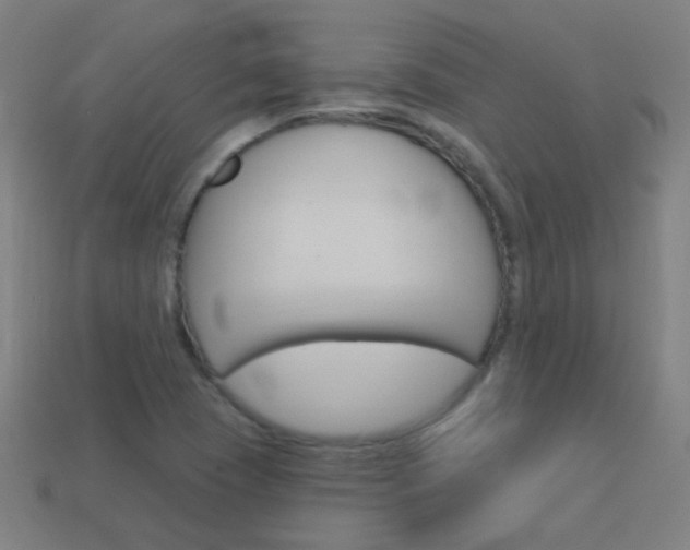 X0000114161409200910081124