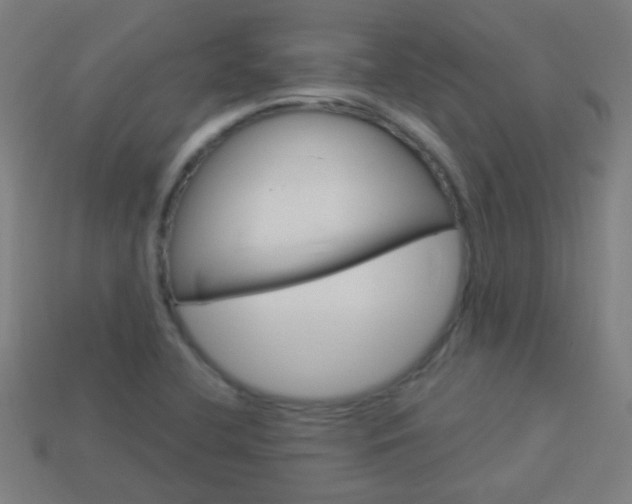 X0000114161412200910081124