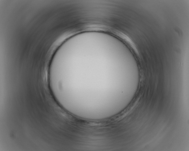 X0000114161419200910081124