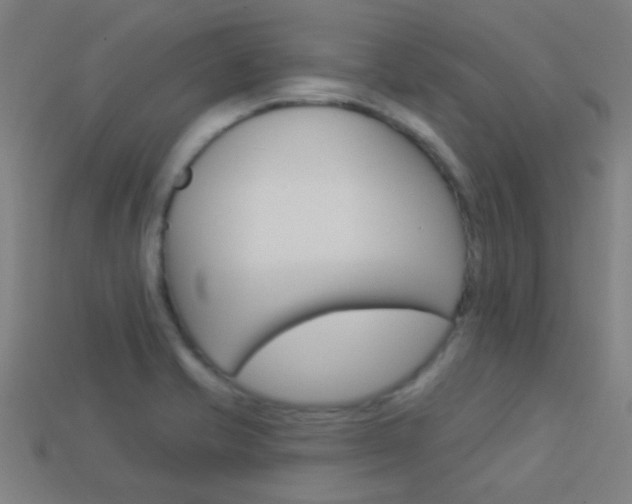 X0000114161421200910081124