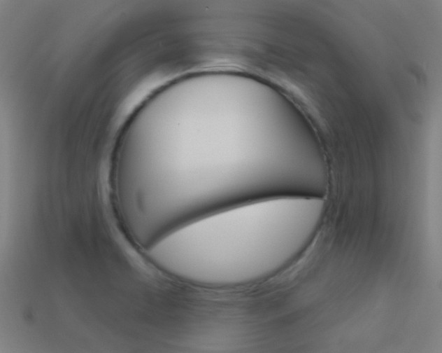 X0000114161422200910081124