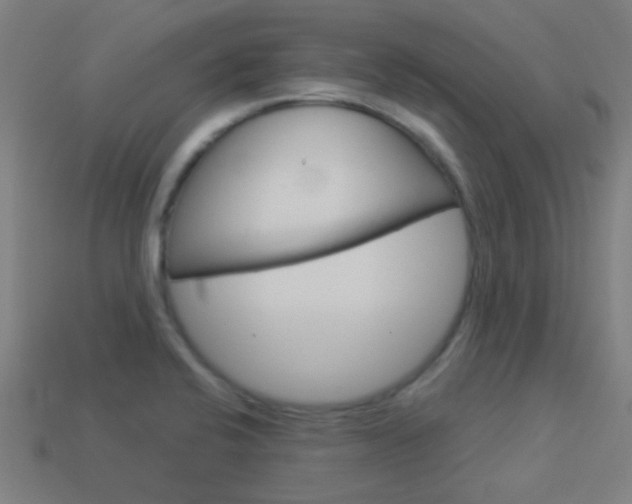 X0000114161424200910081124