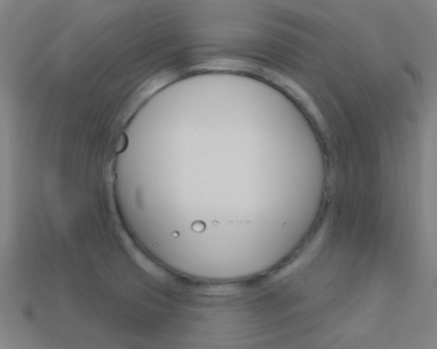 X0000114161425200910081124