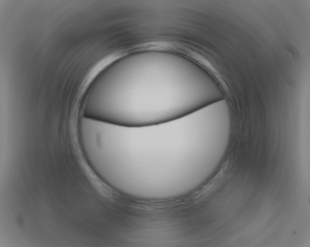 X0000114161426200910081124