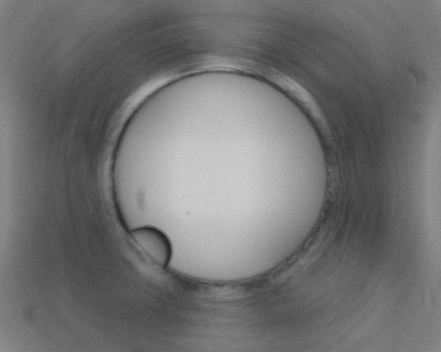 X0000114161427200910081124