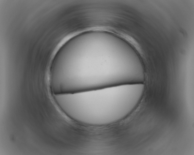 X0000114161428200910081124