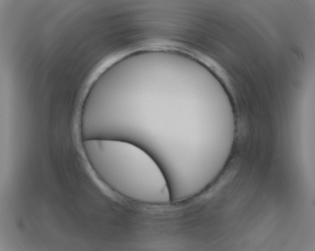 X0000114161429200910081124