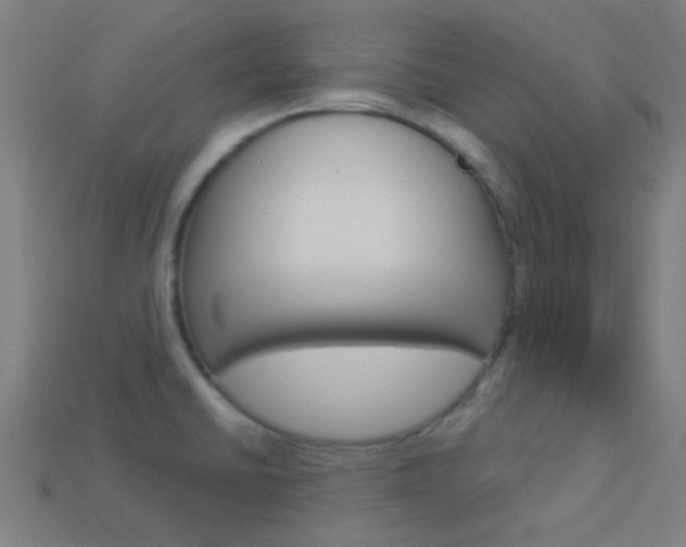 X0000114161430200910081124