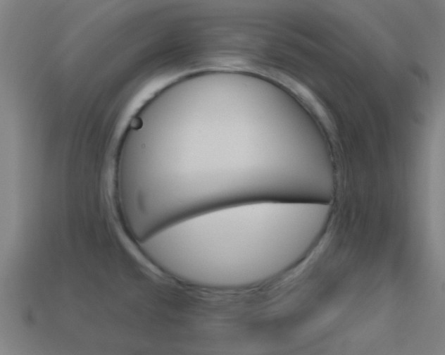 X0000114161432200910081124