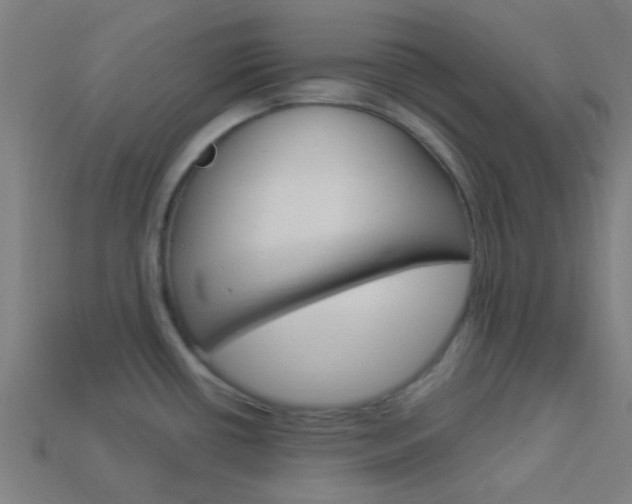 X0000114161434200910081124