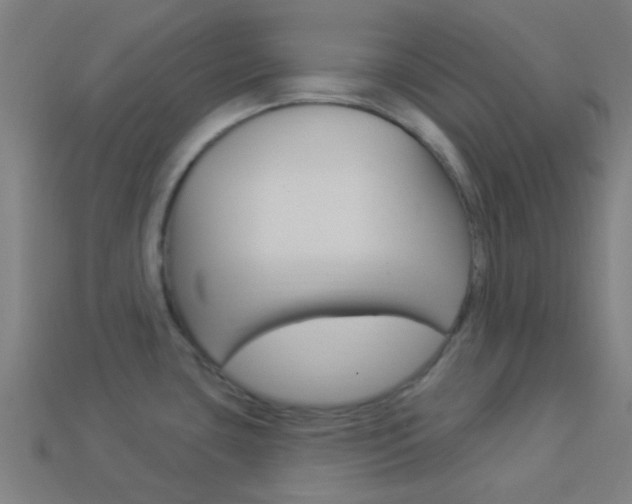 X0000114161435200910081124