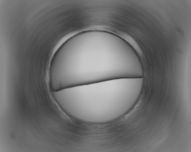 X0000114161436200910081124