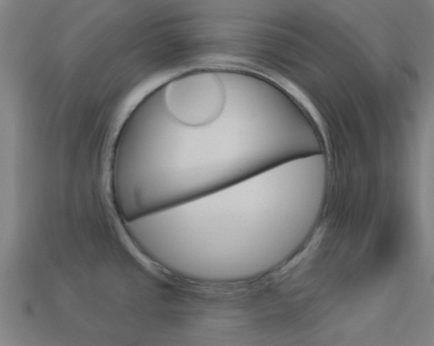 X0000114161437200910081124
