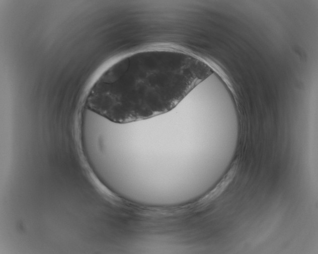 X0000114161438200910081124
