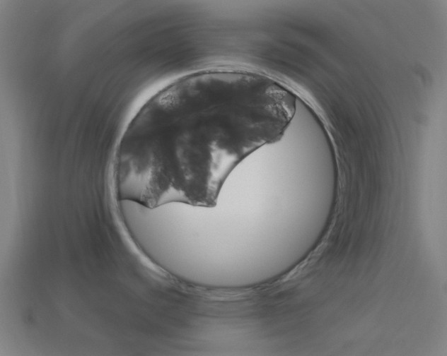 X0000114161440200910081124