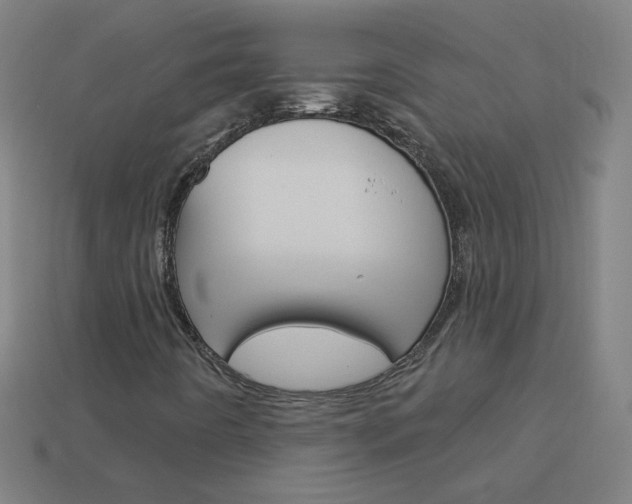 X0000114161442200910081124